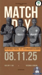 Read more about the article Next league fixture